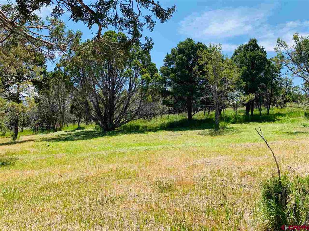 678 3375 Road Property Photo 9