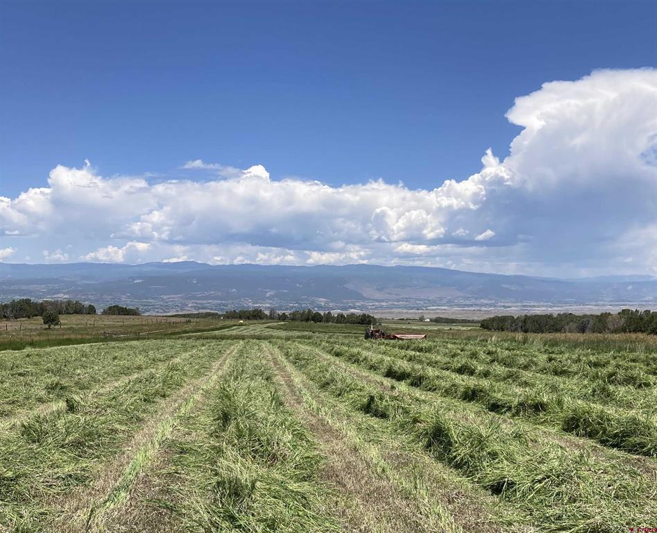 678 3375 Road Property Photo 24