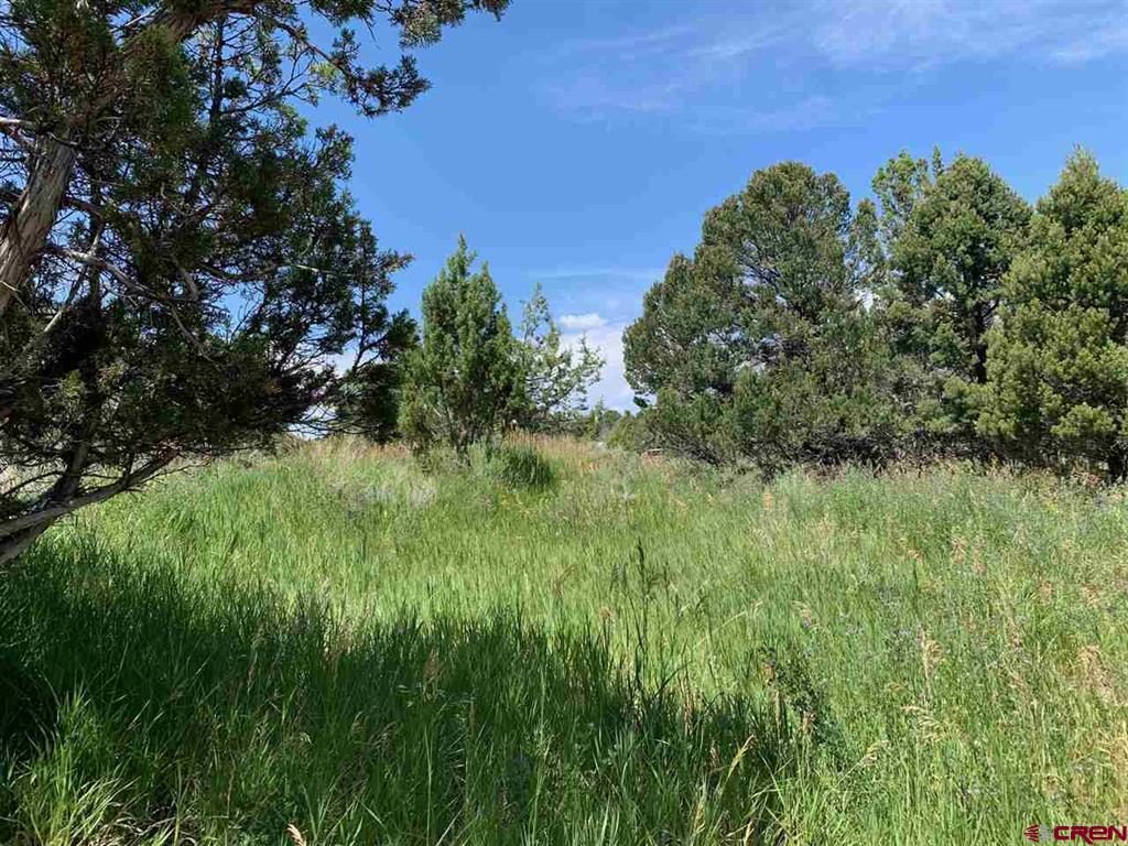 678 3375 Road Property Photo 26