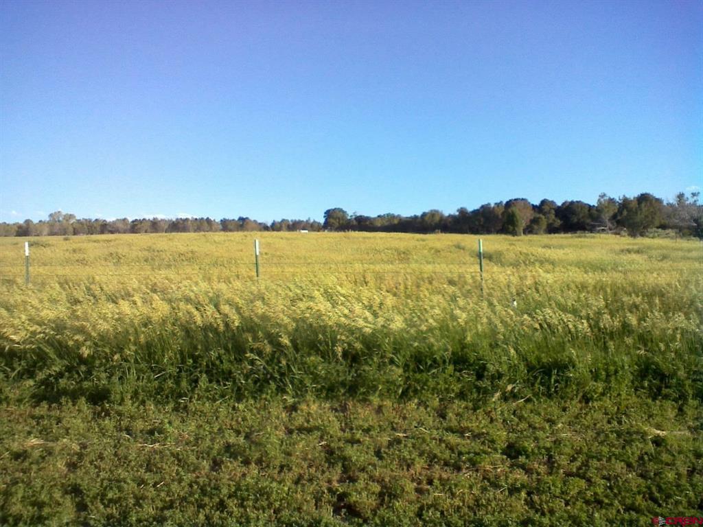 678 3375 Road Property Photo 41