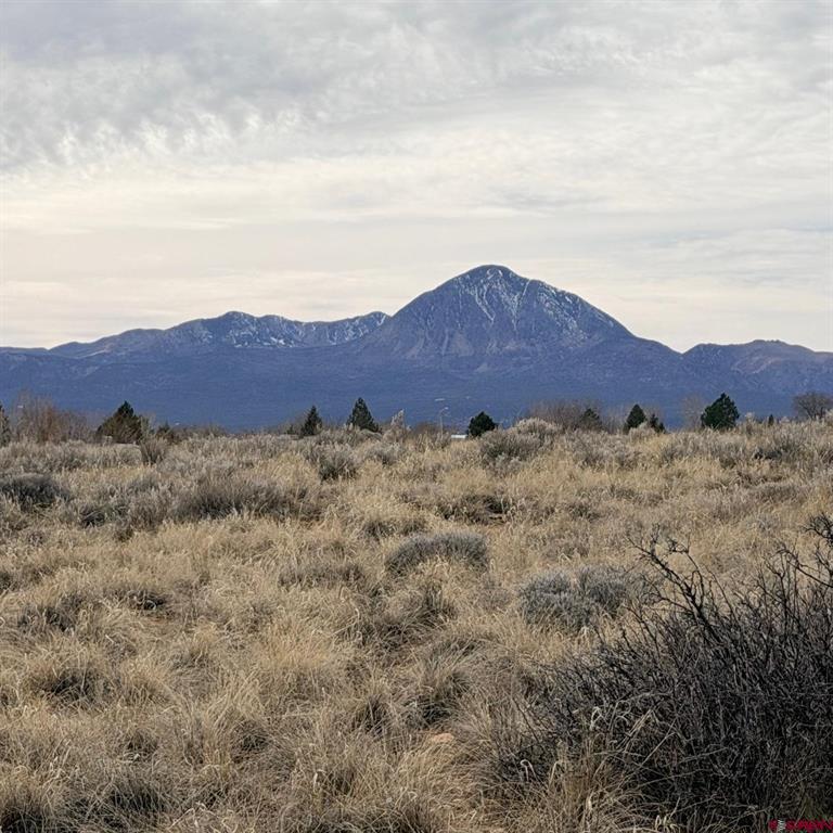 Lot 129 Nicholette Way Property Photo 7