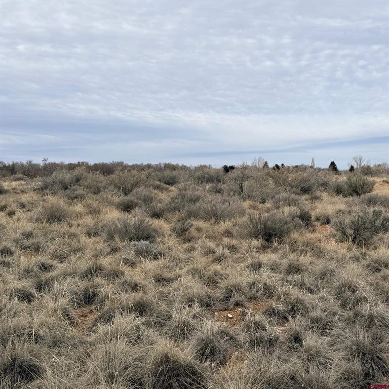 Lot 129 Nicholette Way Property Photo 20