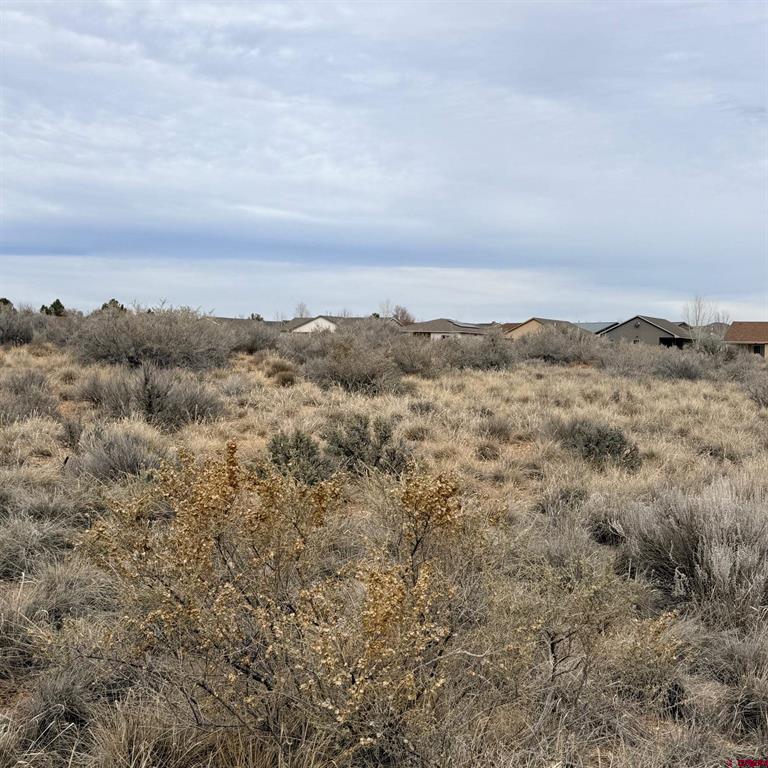 Lot 129 Nicholette Way Property Photo 21