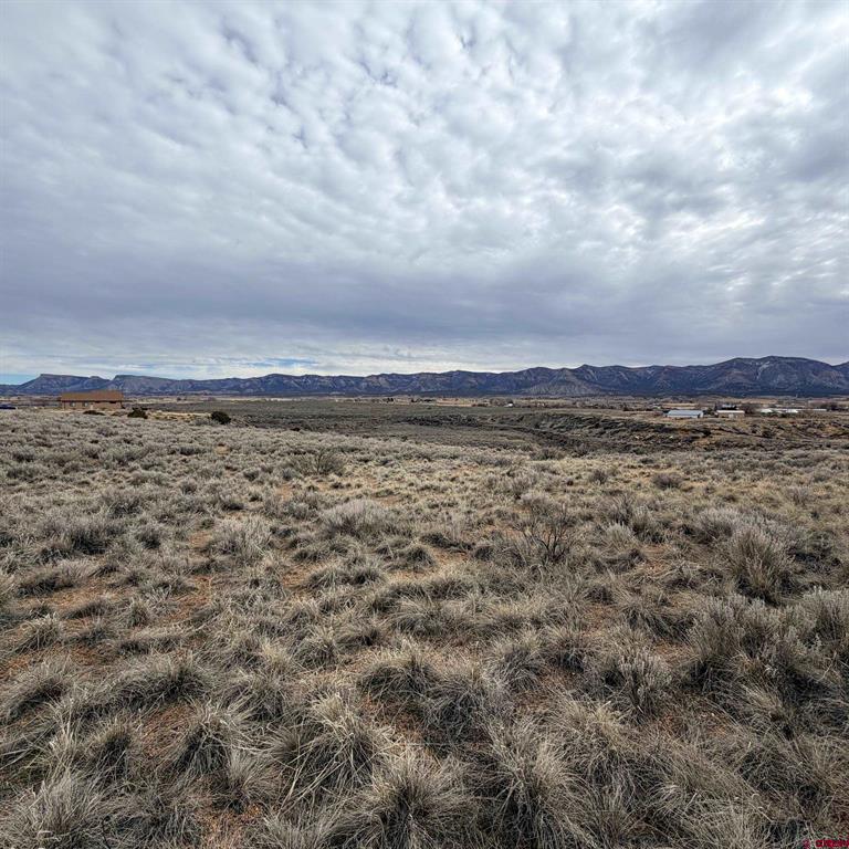 Lot 129 Nicholette Way Property Photo 22