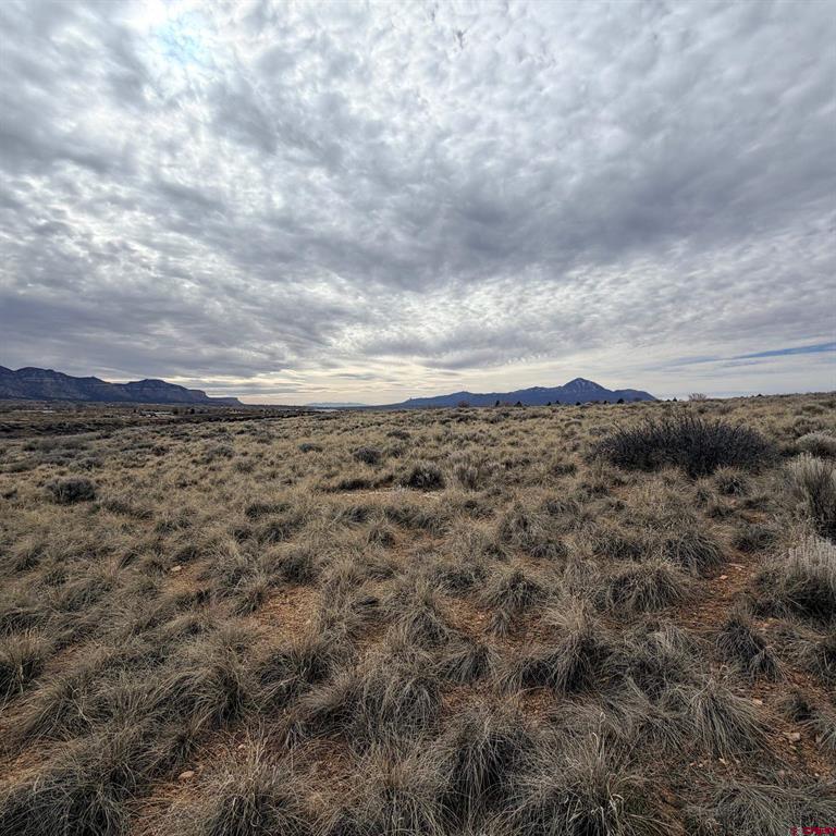 Lot 129 Nicholette Way Property Photo 24
