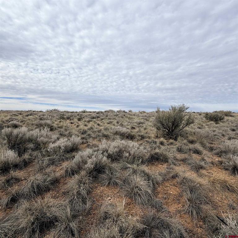 Lot 129 Nicholette Way Property Photo 27