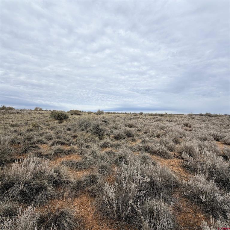 Lot 129 Nicholette Way Property Photo 28