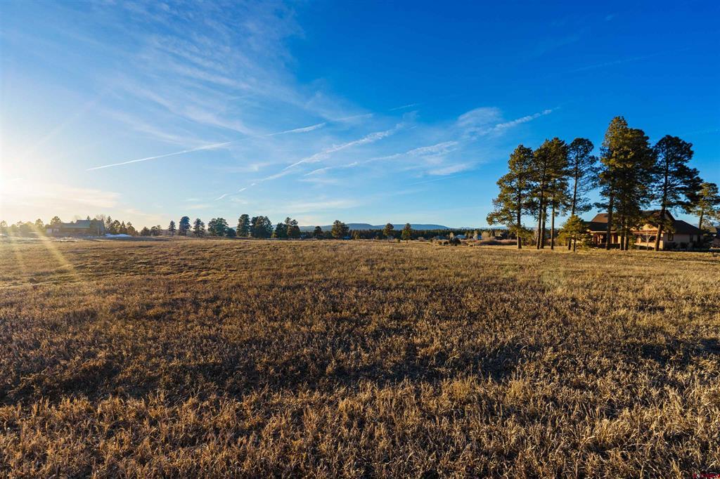 49 Capstone Circle Property Photo 3