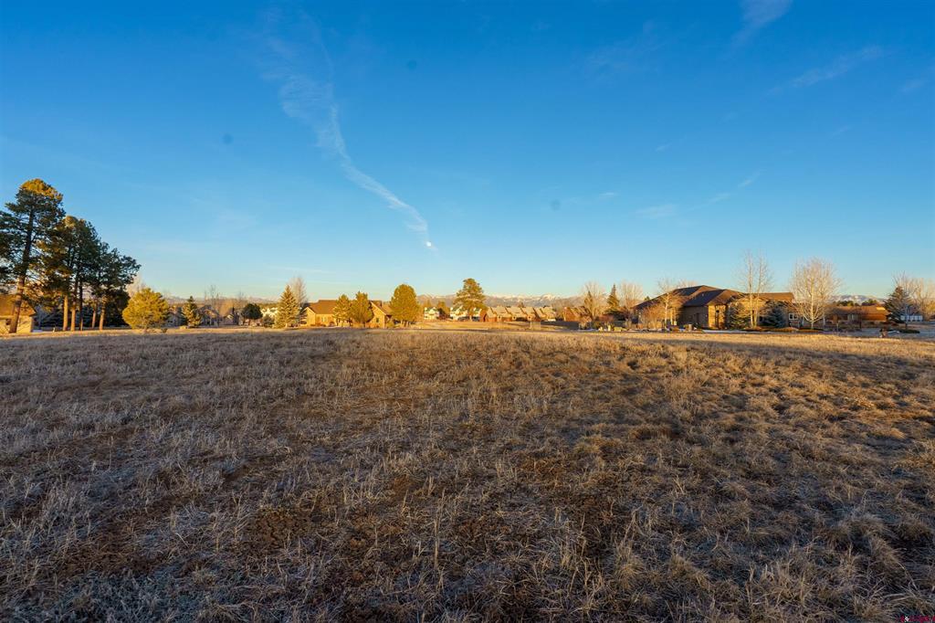 49 Capstone Circle Property Photo 6