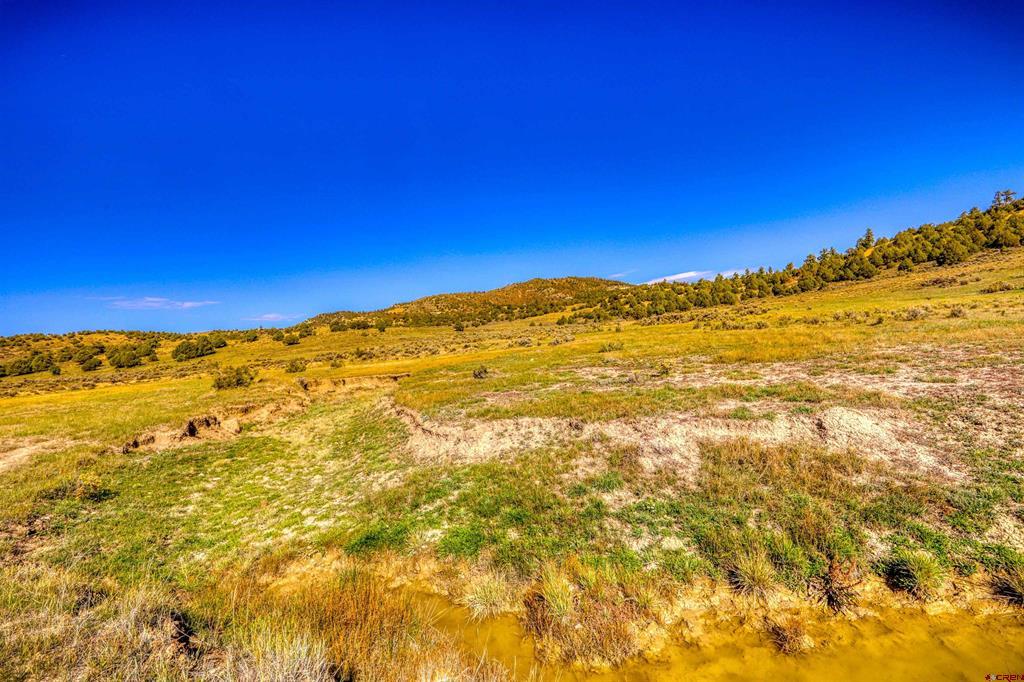 X Tall Pines Place Property Photo 4