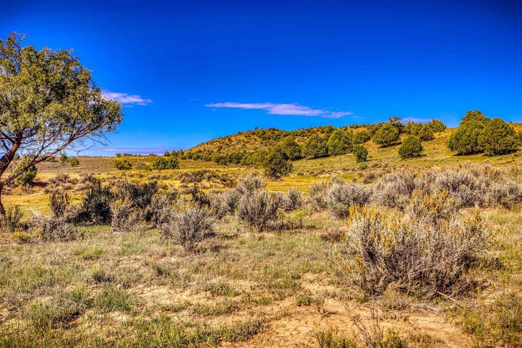 X Tall Pines Place Property Photo 39