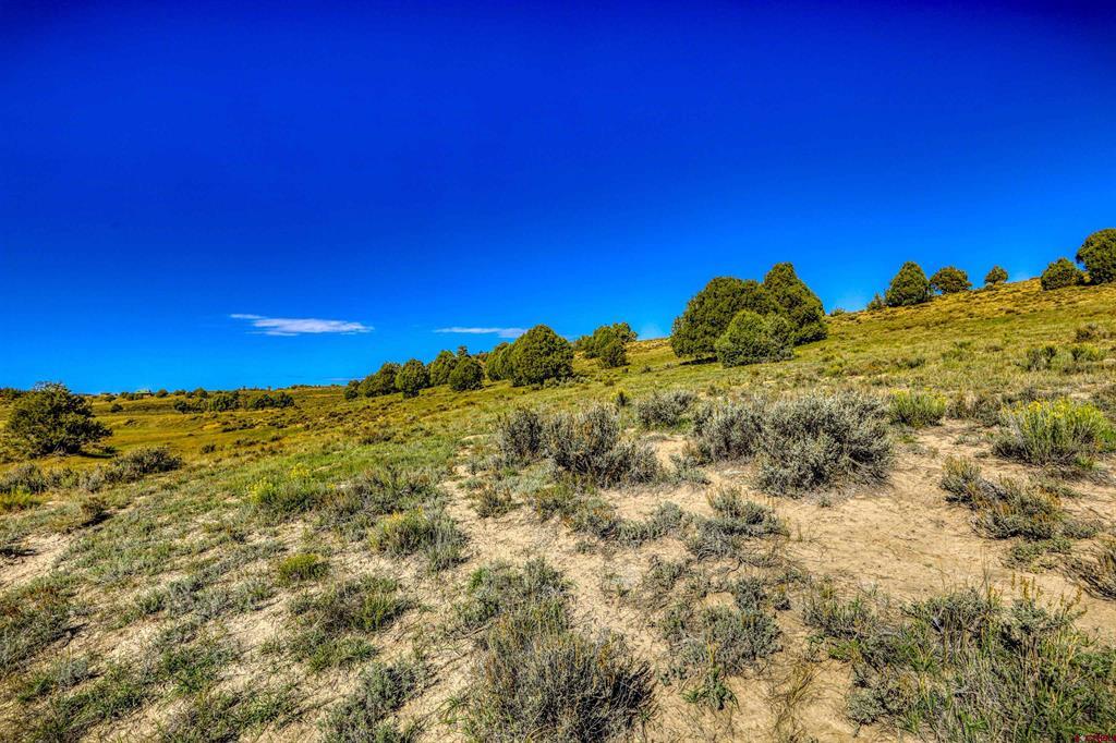 X Tall Pines Place Property Photo 41