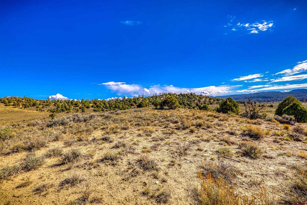 X Tall Pines Place Property Photo 45