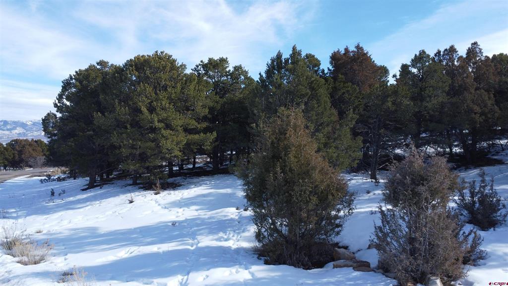 30 Pinon Road W Property Photo 6