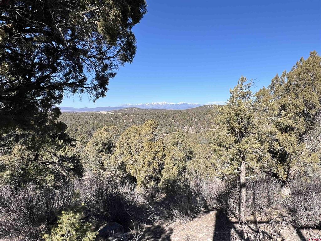 7371 County Road 310 Property Photo 1