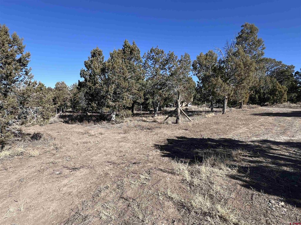 7371 County Road 310 Property Photo 18