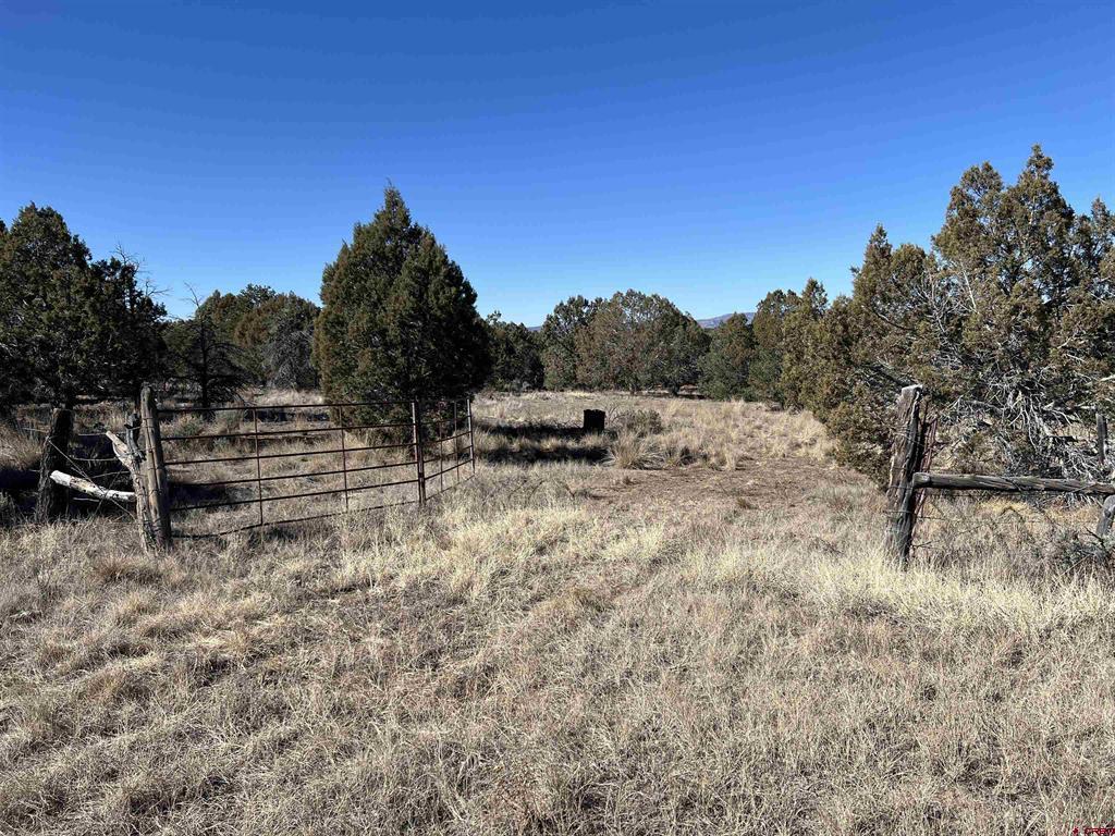 7371 County Road 310 Property Photo 20