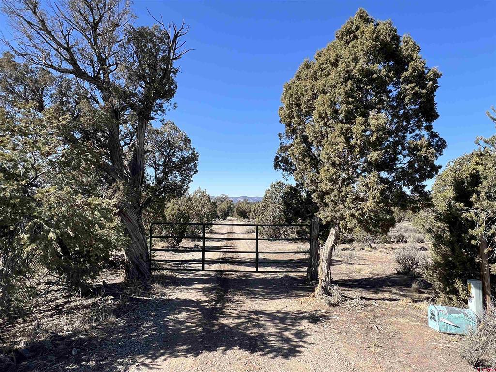 7371 County Road 310 Property Photo 21