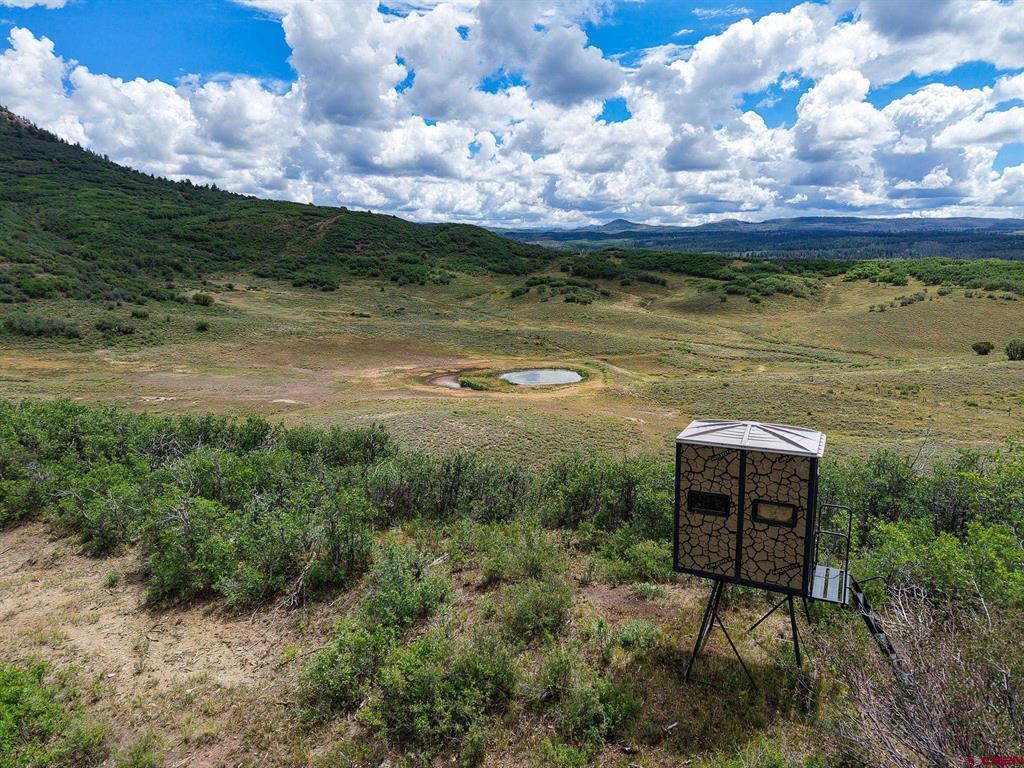 36681 Road M.5 Bugle Basin Property Photo 5