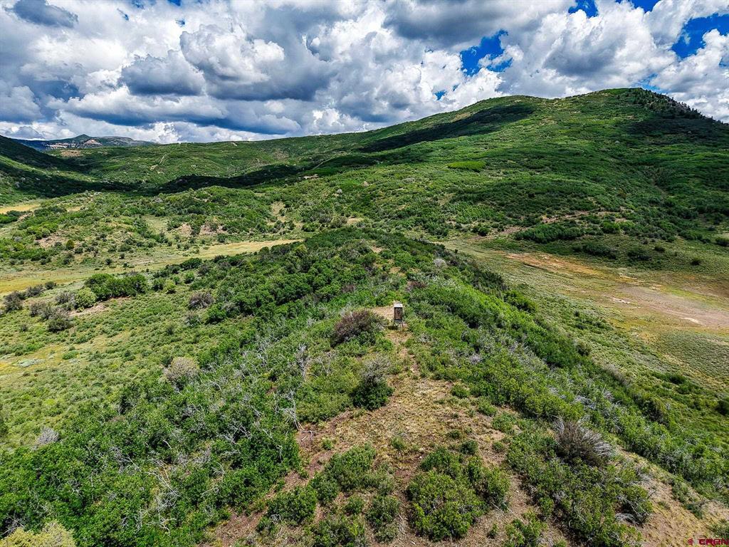 36681 Road M.5 Bugle Basin Property Photo 13