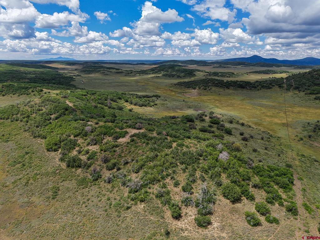 36681 Road M.5 Bugle Basin Property Photo 19