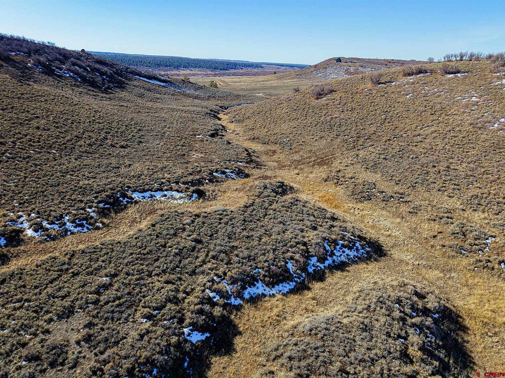 36681 Road M.5 Bugle Basin Property Photo 21