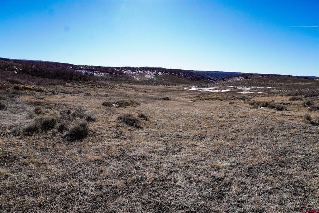36681 Road M.5 Bugle Basin Property Photo 25