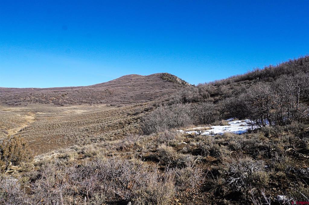36681 Road M.5 Bugle Basin Property Photo 29