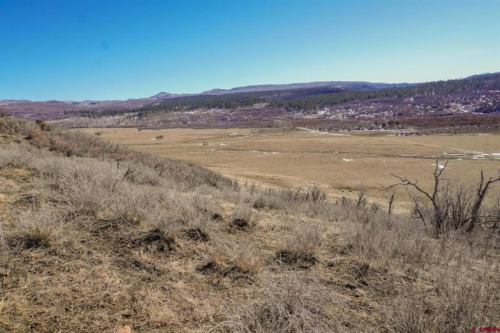 36681 Road M.5 Bugle Basin Property Photo 31