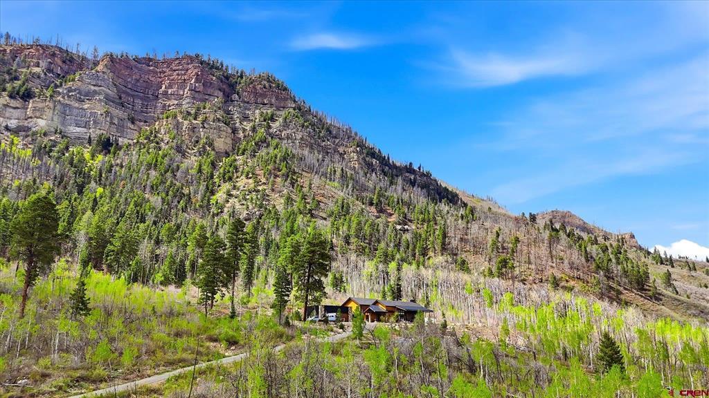41563 N Us Hwy 550 Property Photo 14