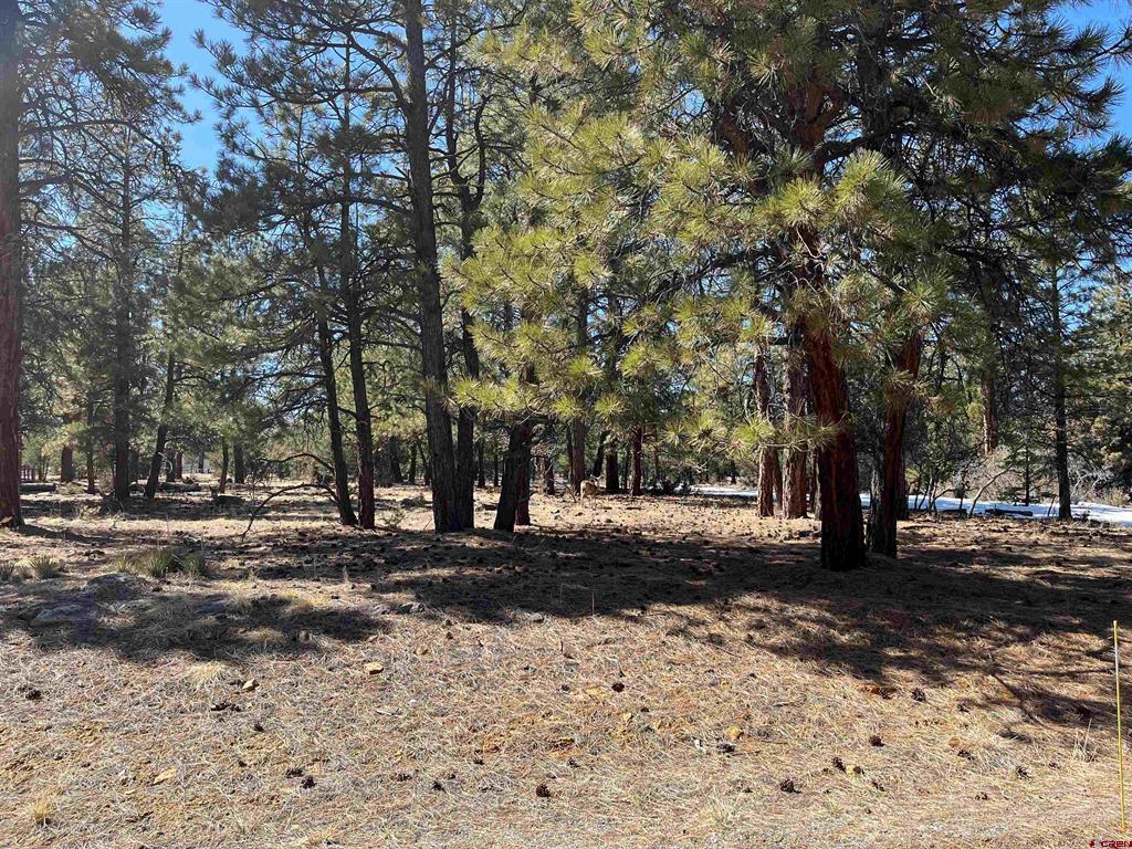Tbd Badger Trail South Property Photo 1