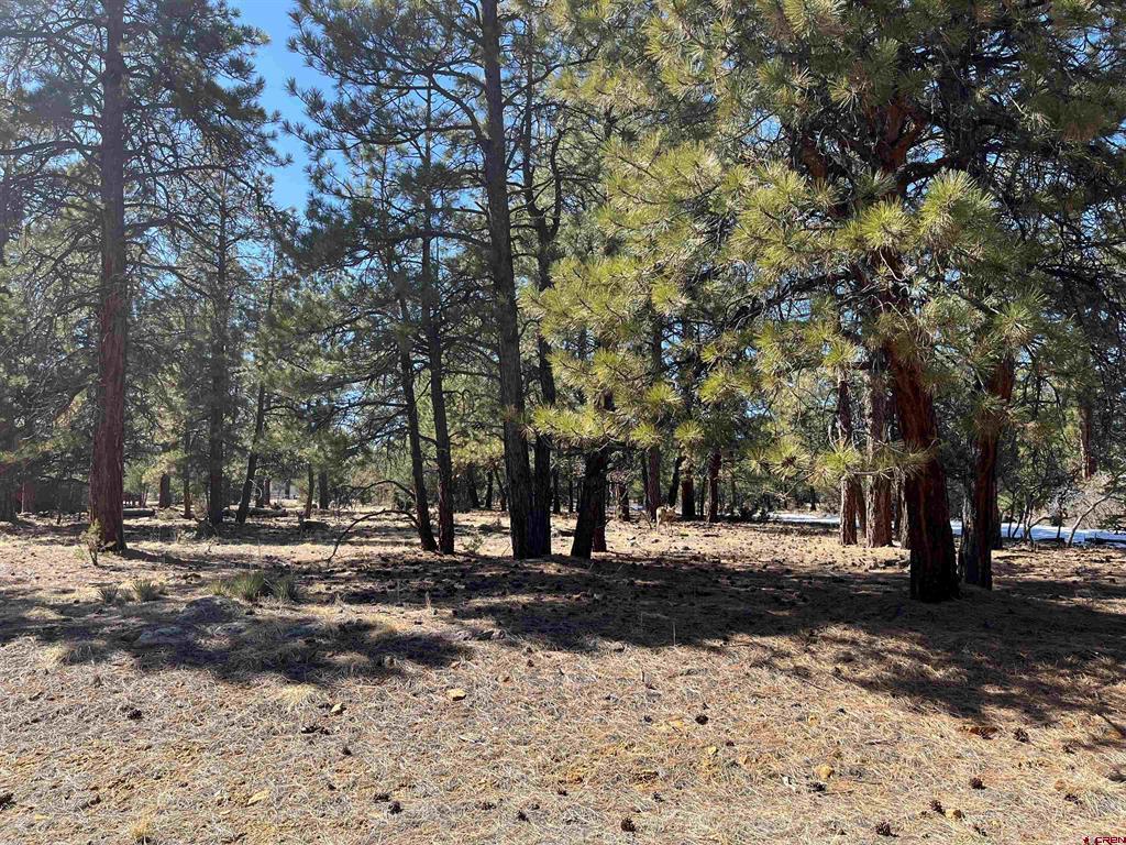 Tbd Badger Trail South Property Photo 2