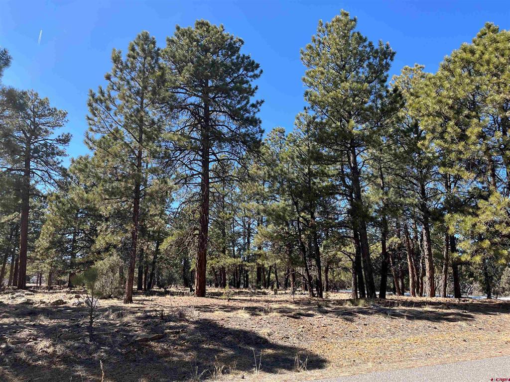 Tbd Badger Trail South Property Photo 3