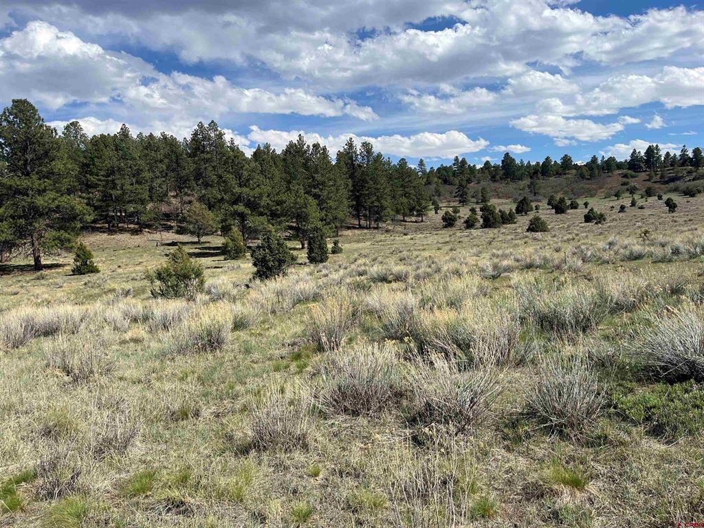 TBD White Tail Lane Property Photo 1