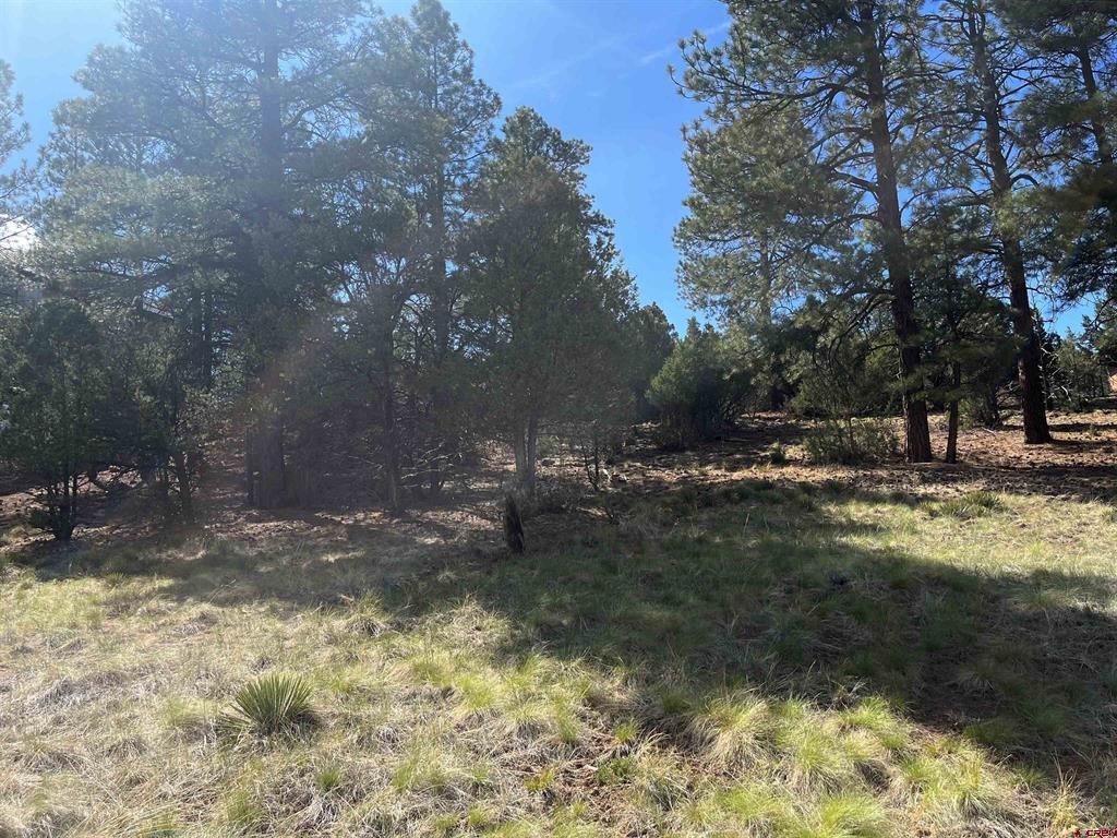 Tbd White Tail Lane Property Photo 2