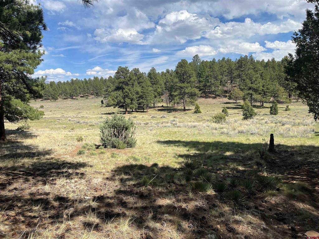 Tbd White Tail Lane Property Photo 4
