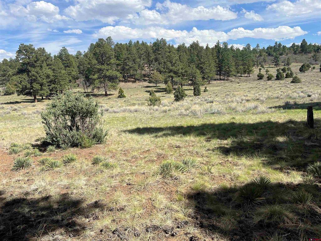 Tbd White Tail Lane Property Photo 6