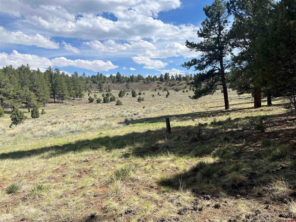 Tbd White Tail Lane Property Photo 7