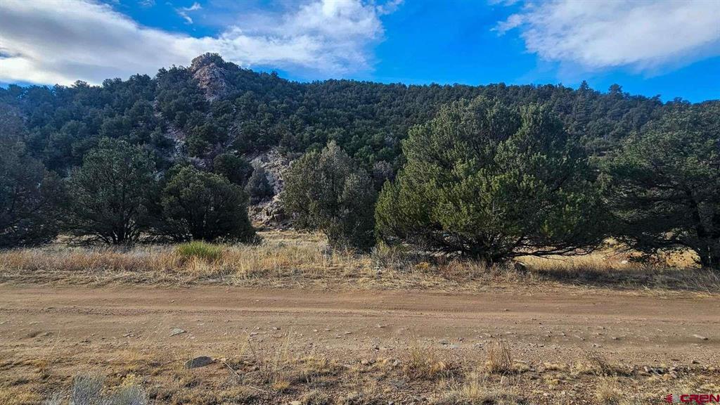 524 Mcclure Gulch Road Property Photo 15