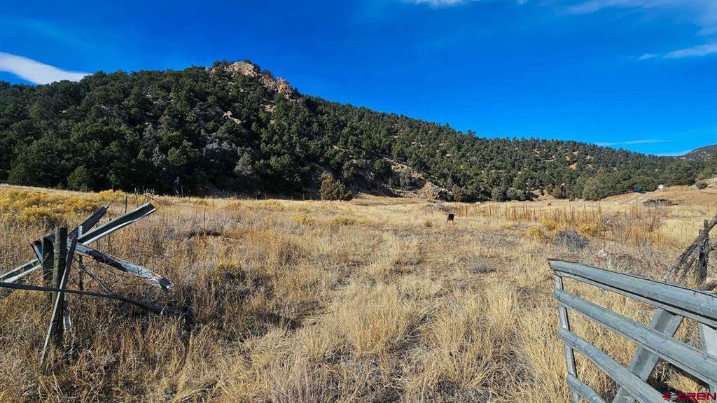 524 Mcclure Gulch Road Property Photo 24