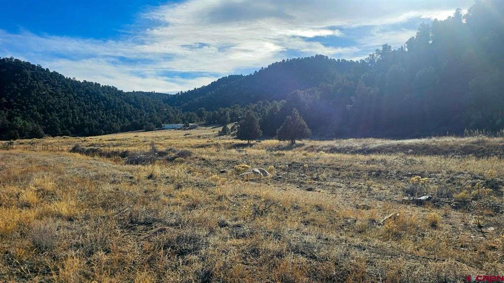 524 Mcclure Gulch Road Property Photo 30