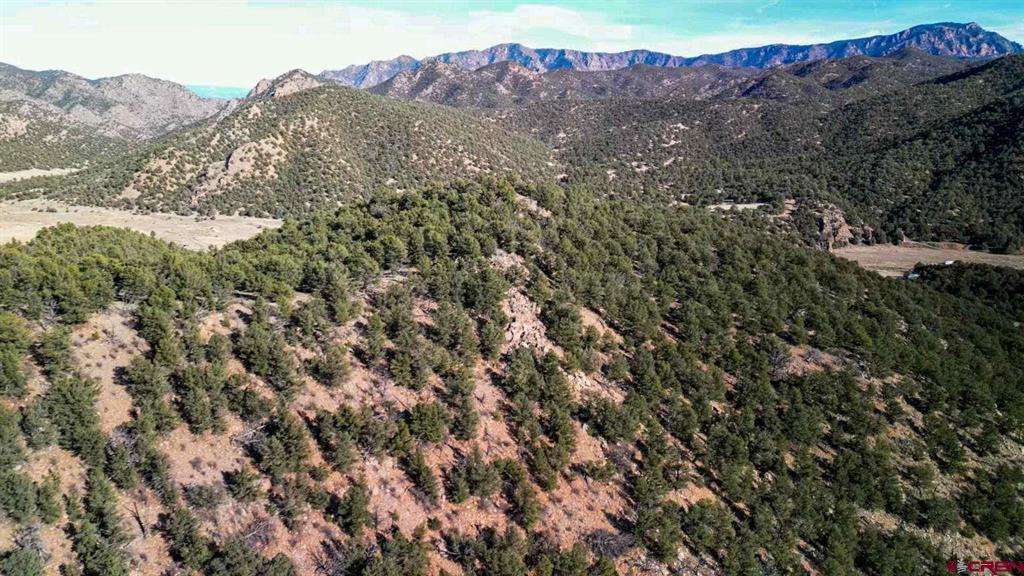 524 Mcclure Gulch Road Property Photo 36