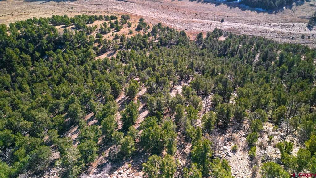 524 Mcclure Gulch Road Property Photo 39