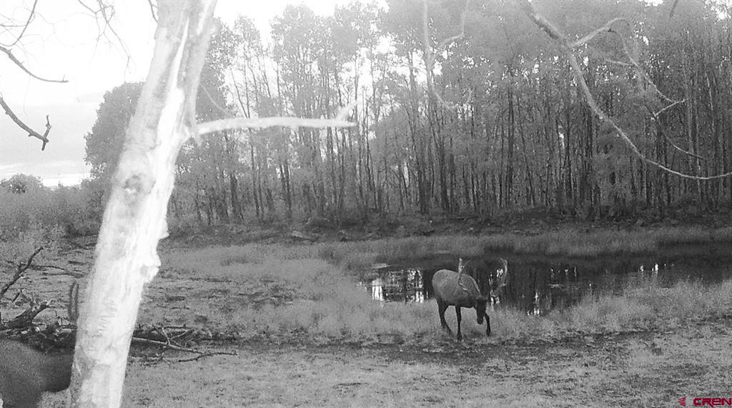 81924 & 82100 Highway 92 Property Photo 23