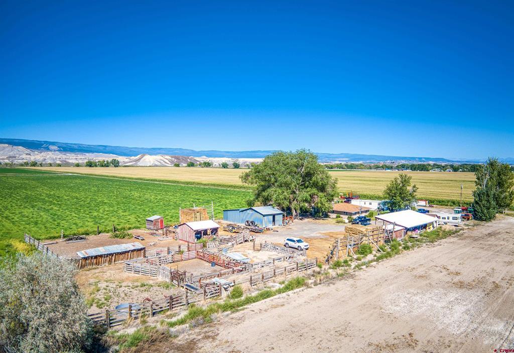 1449 Highway 50 Property Photo 34
