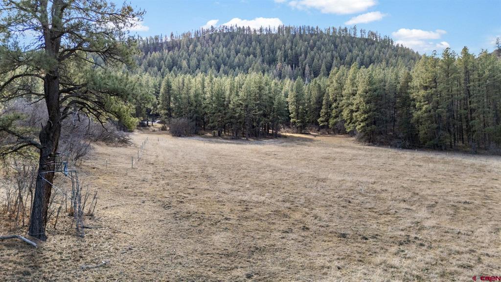 24800 Us Highway 160 Property Photo 36