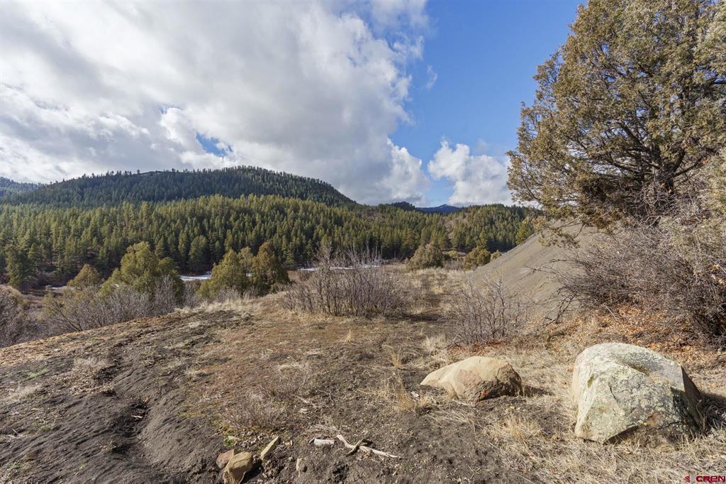 24800 Us Highway 160 Property Photo 42
