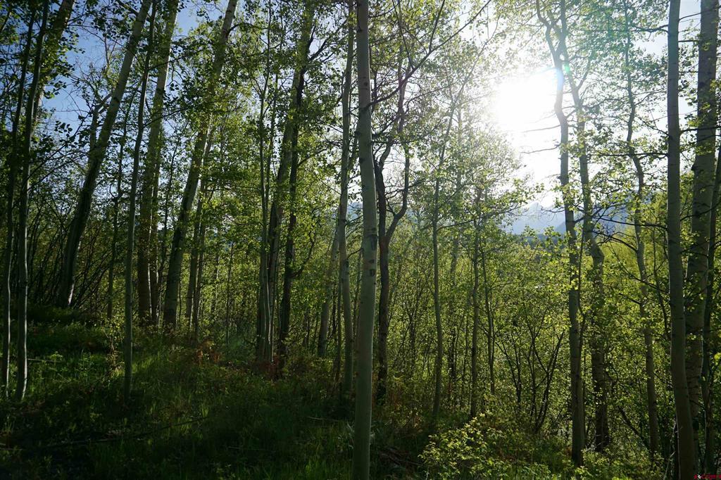 350 Falcon Ridge Road Property Photo 8