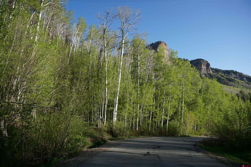 350 Falcon Ridge Road Property Photo 12