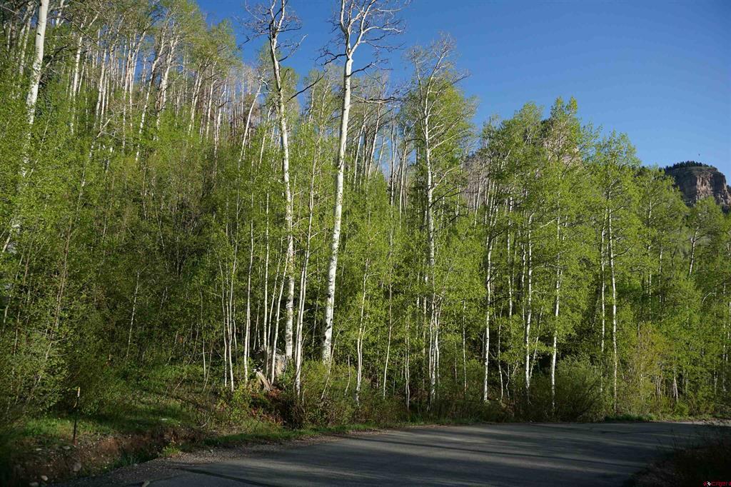 350 Falcon Ridge Road Property Photo 13